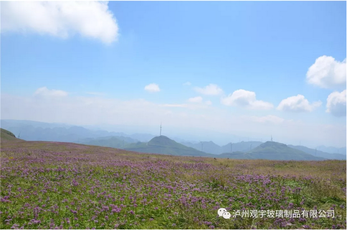 1660811103963714.png 05.png