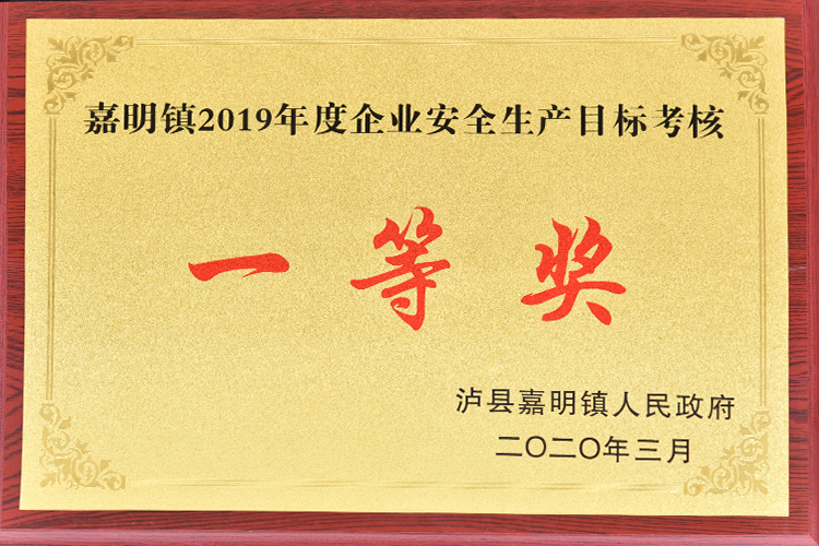 2019年度企業(yè)安全生產目標考核一等獎